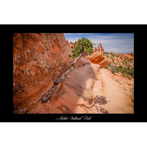 Arches National Park on Productcaster.