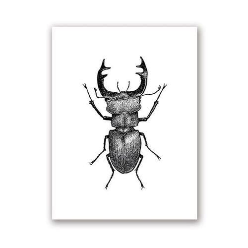 Toile D'art Mural Noir Et Blanc Avec Illustration D'insecte, Peintu... on Productcaster.