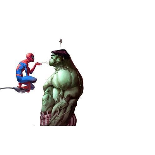 Affiche De Vie Quotidienne Spiderman & The Hulk, Peinture Sur Toile... on Productcaster.