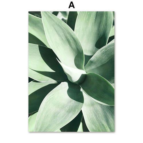 Affiche Murale Avec Plantes Vertes, Feuille D'agave, Pissenlit, Pam... on Productcaster.