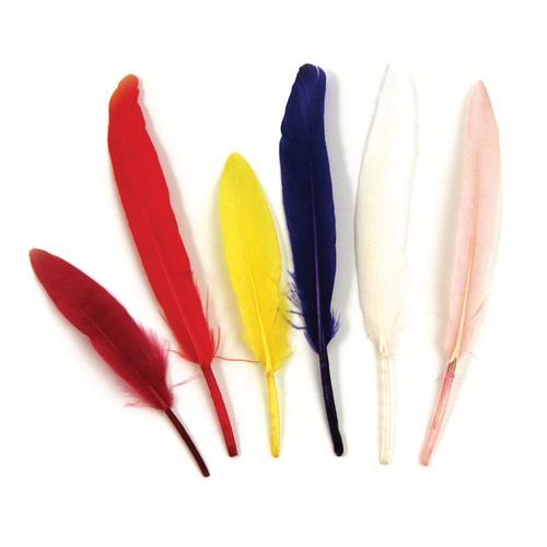 Plumes Indiennes, Assorties, 10,5 Cm, 24 Pces on Productcaster.