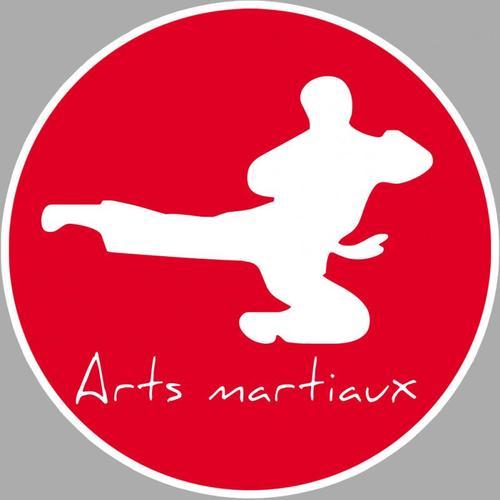 Arts Martiaux - 15cm - Sticker/Autocollant on Productcaster.