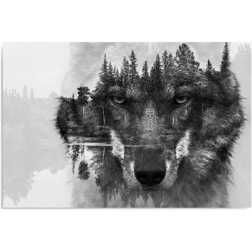 Feeby Impression Sur Toile Loup 100x50 cm Tableaux Tableau Mural Im... on Productcaster.