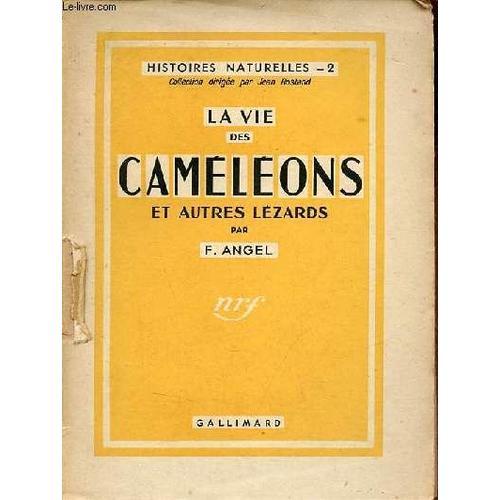 La Vie Des Caméléons Et Autres Lézards - Collection Histoires Natur... on Productcaster.