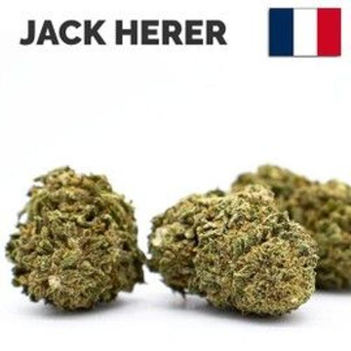 Fleur De Chanvre Jack Herer (100gr) on Productcaster.