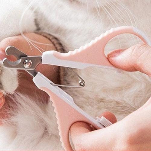 Coupe Griffes Pour Animaux De Compagnie,Accessoires Pour Animaux De... on Productcaster.