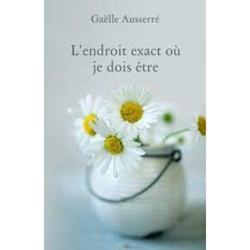 L'endroit Exact Où Je Dois Être. Auteur: Gaëlle Ausserre on Productcaster.