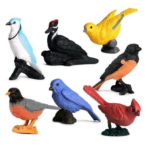 Figurines D'oiseaux Réalistes Et Scientifiques, Jouet Pour Enfants ... on Productcaster.