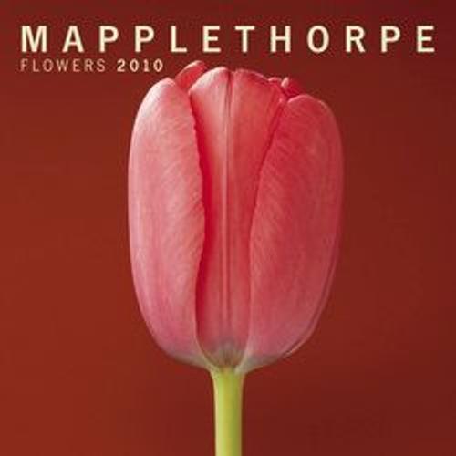 Mapplethorpe Flowers - Calendrier 2010 on Productcaster.