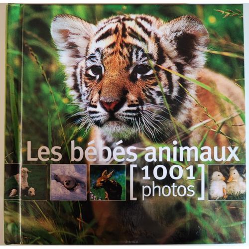 Les Bébés Animaux - 1001 Photos on Productcaster.