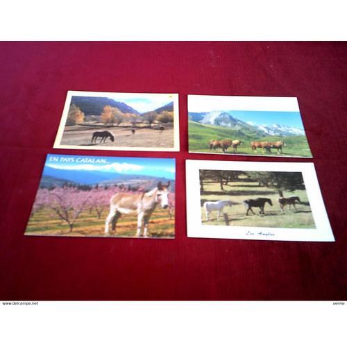 Lot De 4 Cartes Postales Theme Les Chevaux on Productcaster.