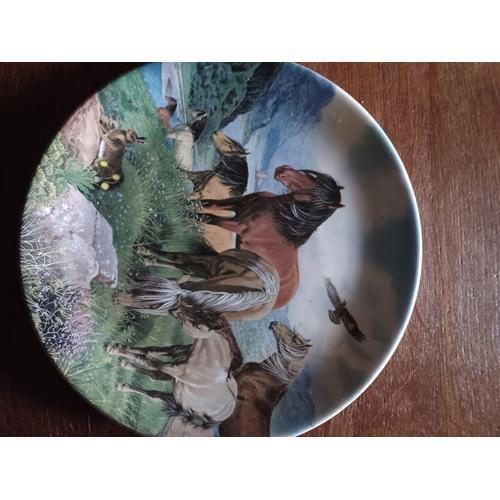 Assiette en Porcelaine Fine - Poneys des Highland on Productcaster.