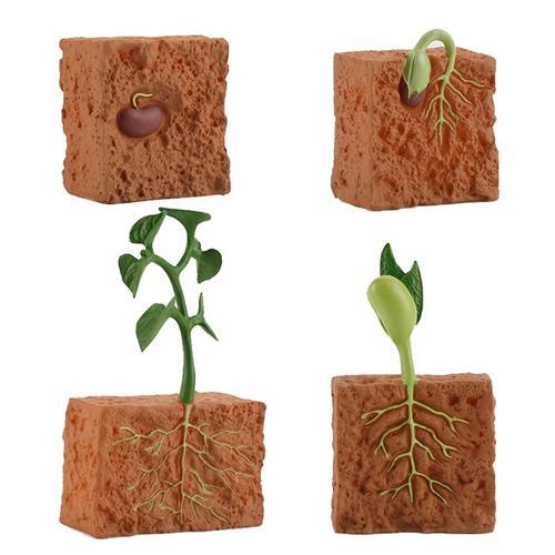 4pcs Plants Grown Toy Simulation Educational Pvc Plant Growth Cycle... on Productcaster.