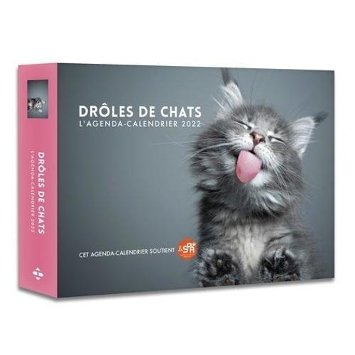 Drôles De Chats on Productcaster.