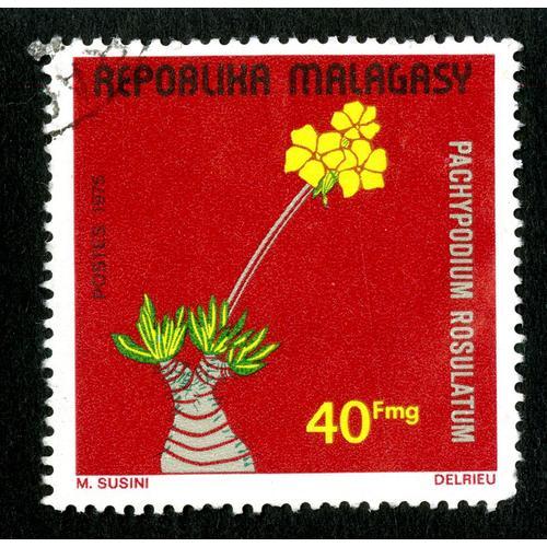 Timbre Oblitéré Repoblika Malagasy, Postes 1975, Pachypodium Rosula... on Productcaster.