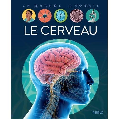 Le Cerveau on Productcaster.