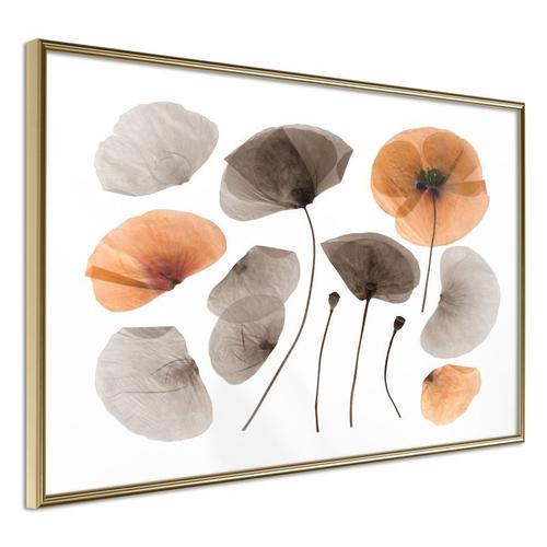 Paris Prix - Affiche Murale Encadrée "Dried Poppies" 45 X 30 Cm Or on Productcaster.