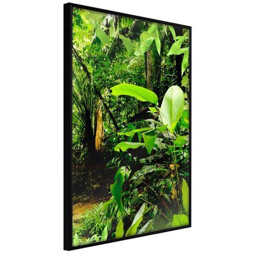 Paris Prix - Affiche Murale Encadrée "In The Rainforest" 40 X 60 Cm... on Productcaster.