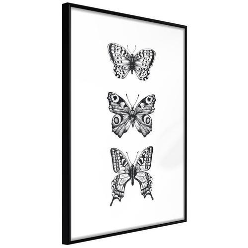 Paris Prix - Affiche Murale Encadrée "Butterfly Collection Iii" 20 ... on Productcaster.