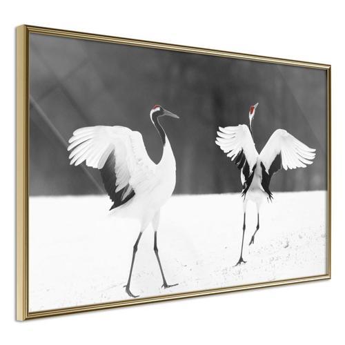 Paris Prix - Affiche Murale Encadrée "Bird Date" 60 X 40 Cm Or on Productcaster.