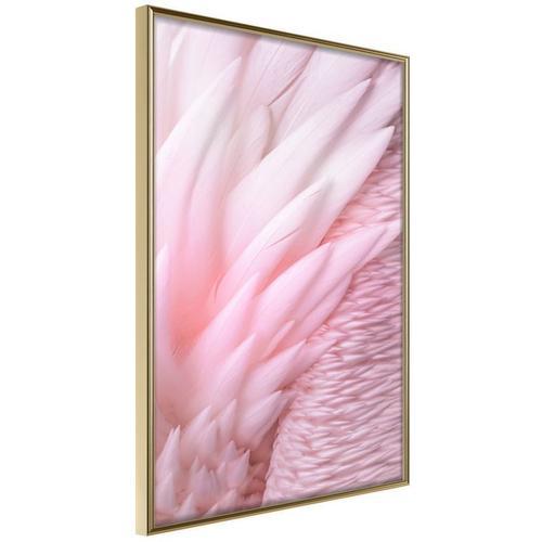 Paris Prix - Affiche Murale Encadrée "Pink Feathers" 40 X 60 Cm Or on Productcaster.