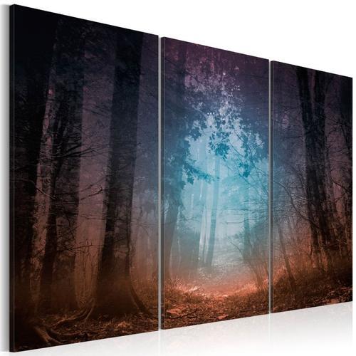 Paris Prix - Tableau Imprimé 3 Panneaux "edge Of The Forest" 80 X 1... on Productcaster.