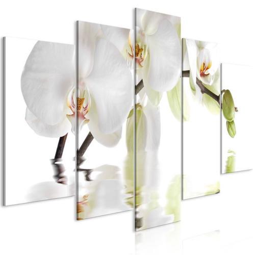 Paris Prix - Tableau Imprimé 5 Panneaux "wonderful Orchid Wide" 50 ... on Productcaster.