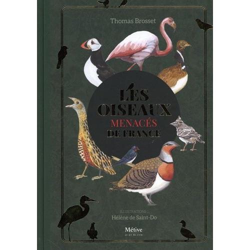 Les Oiseaux Menacés De France on Productcaster.