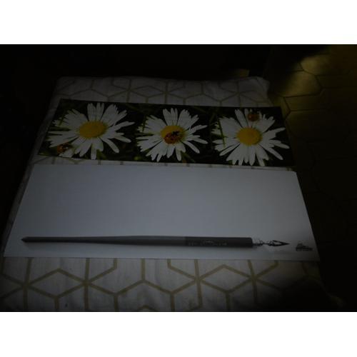 Carte Postale Simple 40x13cm Avec Enveloppe Motif Marguerites Deko ... on Productcaster.