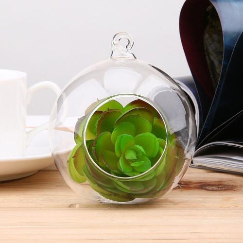 Vase rond suspendu en verre Transparent de 8cm pour plantes de Terr... on Productcaster.