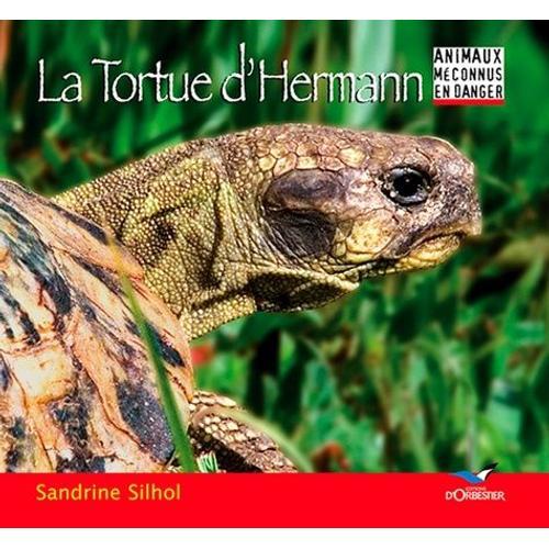 La Tortue D'hermann on Productcaster.