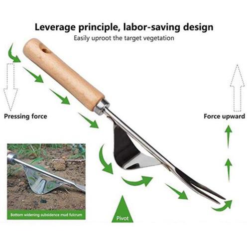 Manche en bois en acier inoxydable, désherbeur de jardin, coupe-dés... on Productcaster.