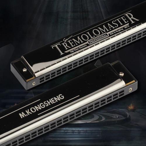 Instrument De Musique Harmonica,Tremolo,24 Trous,Bouche,Clé De C - ... on Productcaster.