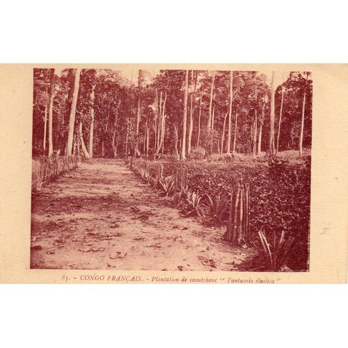 Carte Postale Debut Xx Eme Siecle - N° 85 - Congo Francais - Planta... on Productcaster.