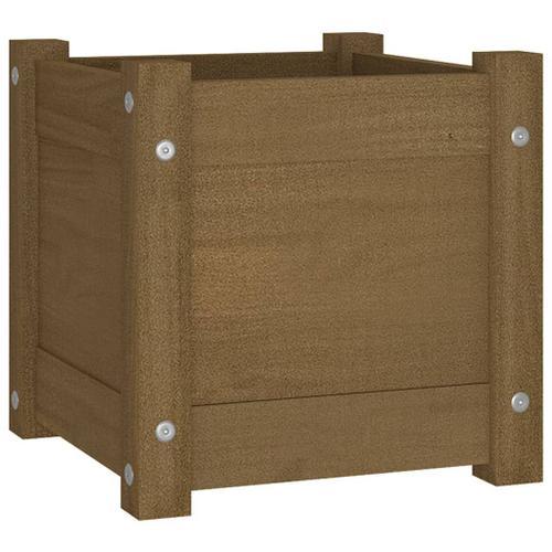 Vidaxl Jardinière Extérieur Marron Miel 31x31x31 Cm Bois De Pin Mas... on Productcaster.