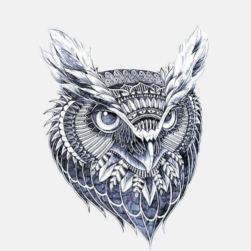 Autocollant De Tête De Hibou En Vinyle, Motif Bleu Créatif, Fenêtre... on Productcaster.