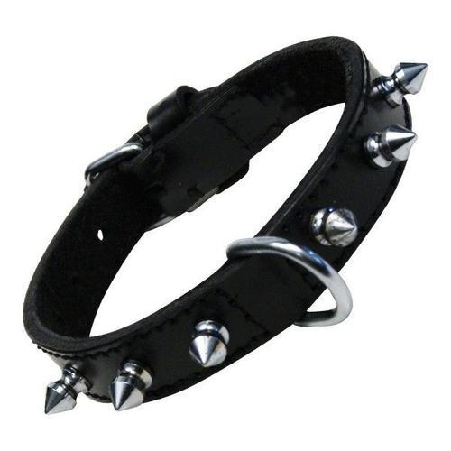 Collier Pour Chien Gloria Noir Clous (45 Cm) on Productcaster.