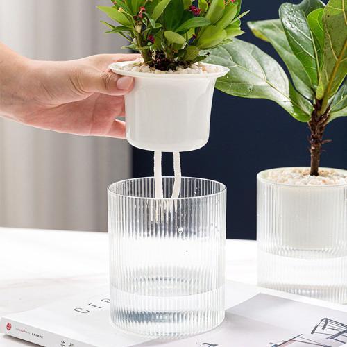 Vases de plantes hydroponiques automatiques, pot de fleur vintage, ... on Productcaster.