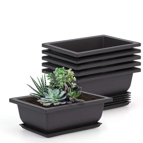 Pots de fleurs avec plateau en plastique 16,5x12cm, 10 paquets, bon... on Productcaster.