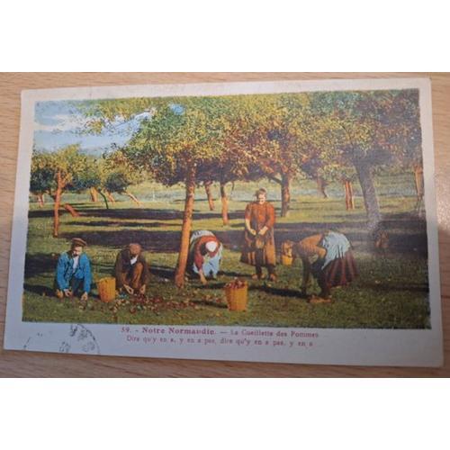 Carte Postale Ancienne - Notre Normandie - La Cueillette Des Pommes on Productcaster.