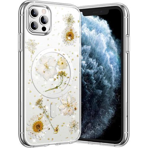 Coque Magnétique Pour Iphone 11 Pro Compatible Avec Magsafe Résista... on Productcaster.