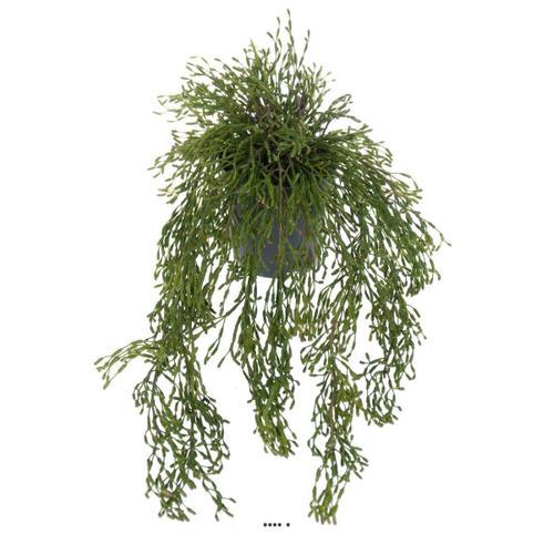 Rhipsalis Artificiel, Cactus Gui Feuillage Dense, L 65 Cm on Productcaster.