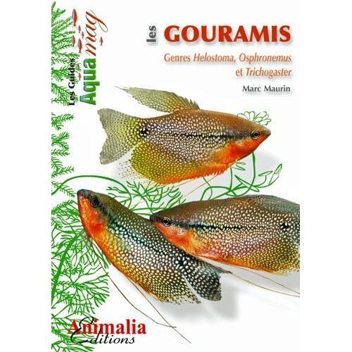 Les Gouramis on Productcaster.