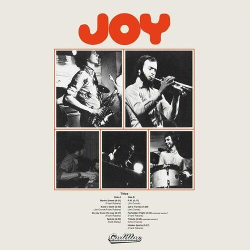 Joy - Joy Vinyl Lp on Productcaster.