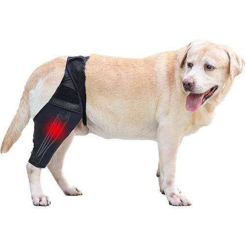 Attelle De Genou Pour Chien, Attelle De Jambe Pour Chien, Pour Jamb... on Productcaster.