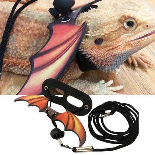 Harnais Dragon Barbu, Laisse Pour Petits Animaux, Pratique, Facile ... on Productcaster.