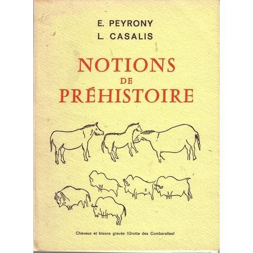 Notions De Préhistoire on Productcaster.