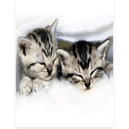 Couverture En Molleton De Flanelle Douce Pour Lit Sofalying Catsxcm on Productcaster.