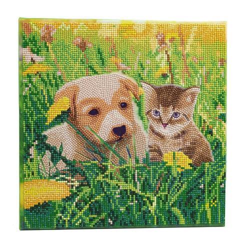 Crystal Art Kit Tableau Broderie Diamant 30x30cm Chat Et Chien Pré on Productcaster.