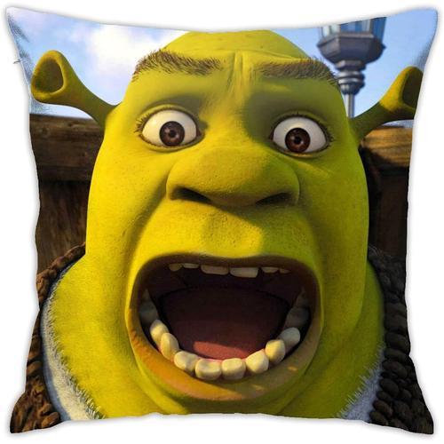 Shrek Coussins Carrés, Housses De Coussin Décoratives, Taies D'orei... on Productcaster.